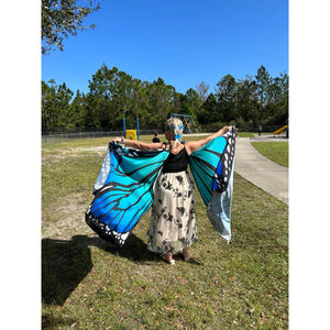 Butterfly costume